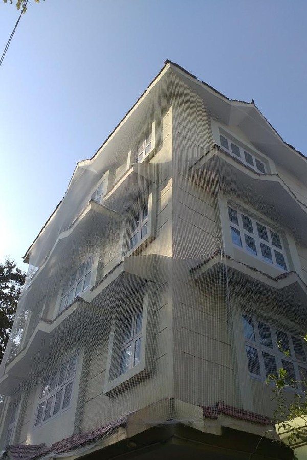 Image 8