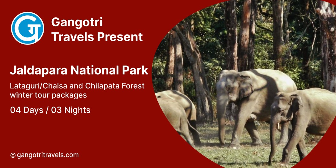 Jaldapara National Park- Chilapata Jungle Safari Tour Package- 3 Nights/4 Days- Lataguri/Chalsa and Chilapata Forest 03 Nights Tour Package- Gangotri Travels